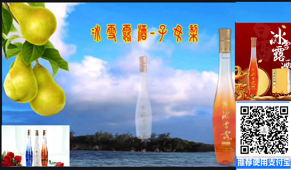 冰雪露酒简介