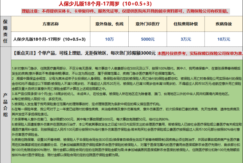（W10123）人保少儿10+0.5+3（满18个月）