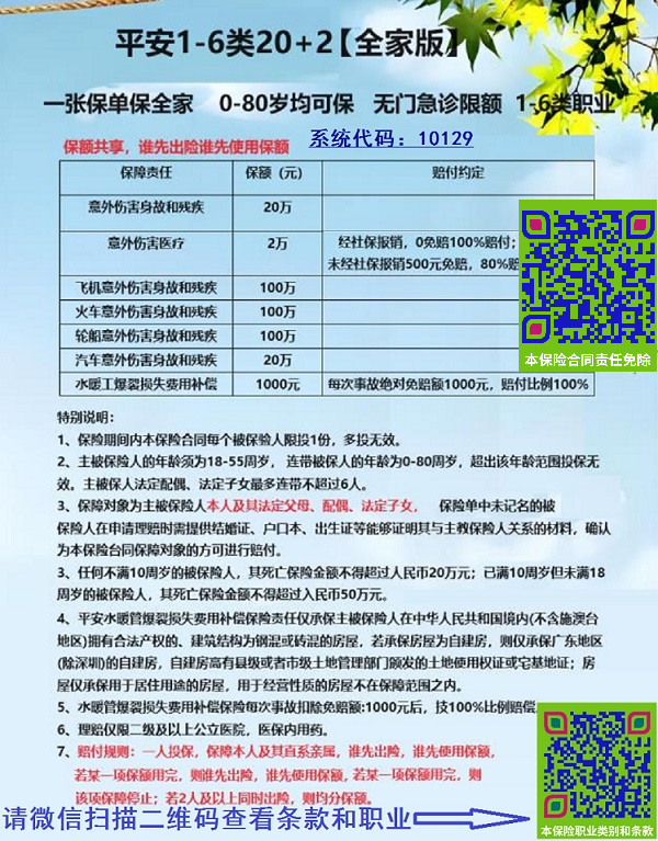 平安全家福1-6类20+2