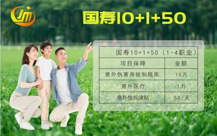 （W10072）国寿1-4类个单（10+1+50）